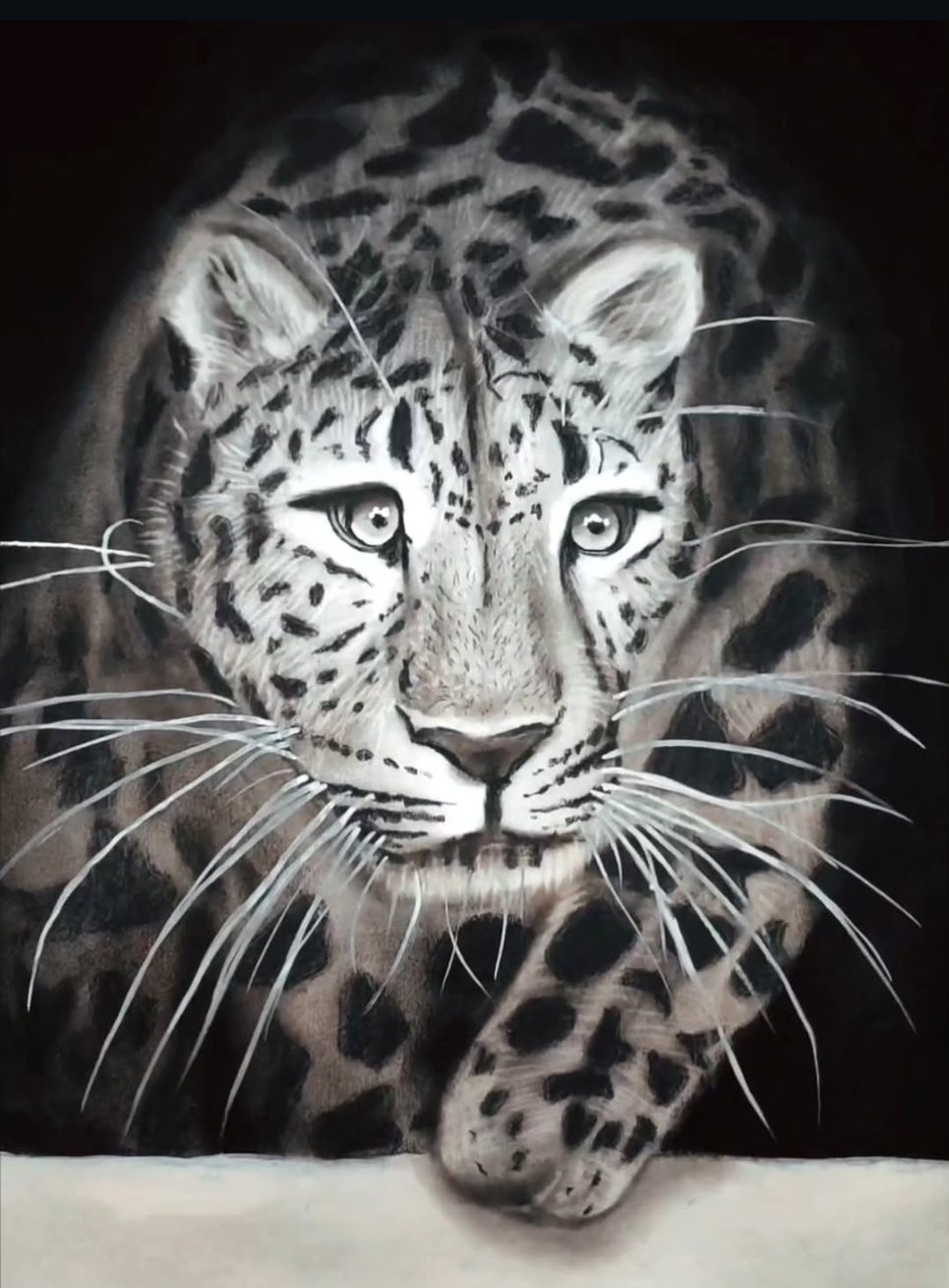 Wildlife drawing of a leopard by a Liger Art Academy student with detailed eyes, fur texture and whiskers